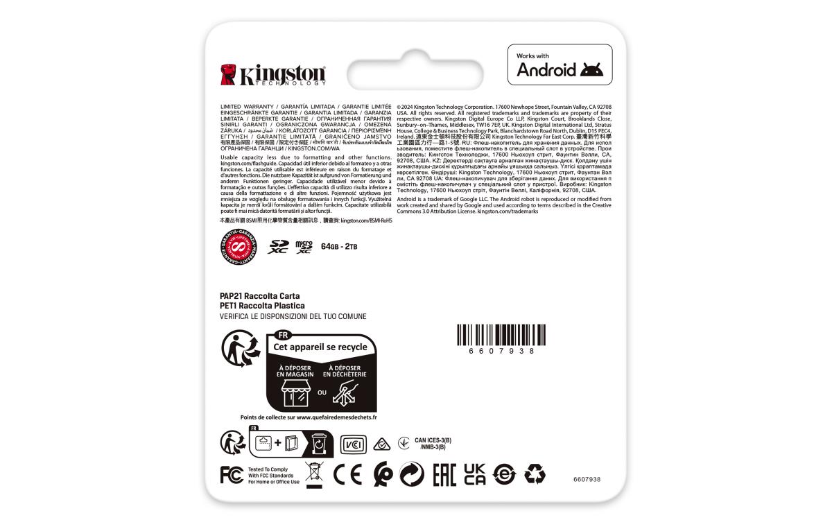 Micro Sdxc Card - Canvas Go Plus  - 1TB - Cl10 - Uhs-l A2 U3 With Adapter