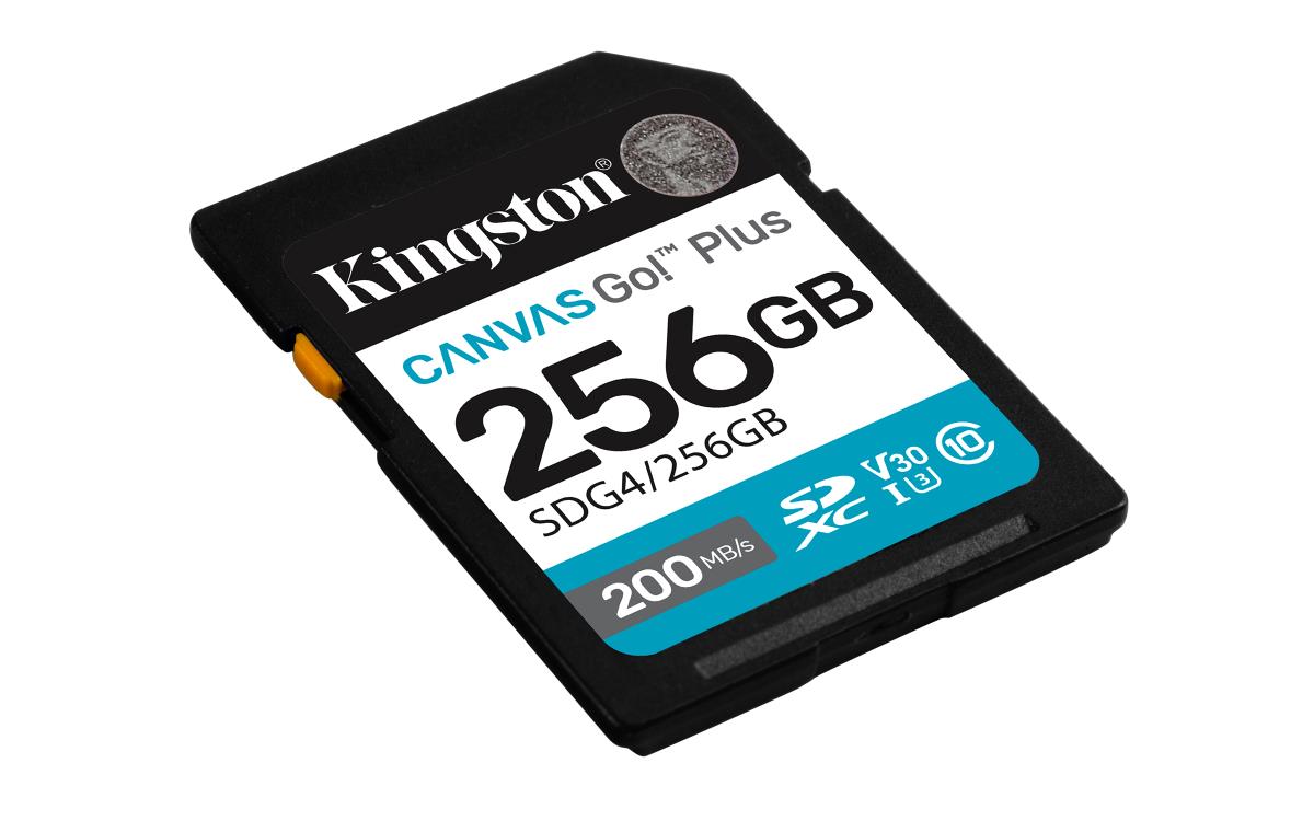 Sdxc Card - Canvas Go Plus  - 256GB - Cl10 - Uhs-l U3 V30