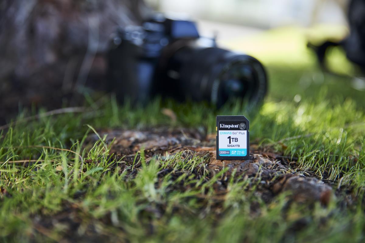 Sdxc Card - Canvas Go Plus  - 1TB - Cl10 - Uhs-l U3 V30