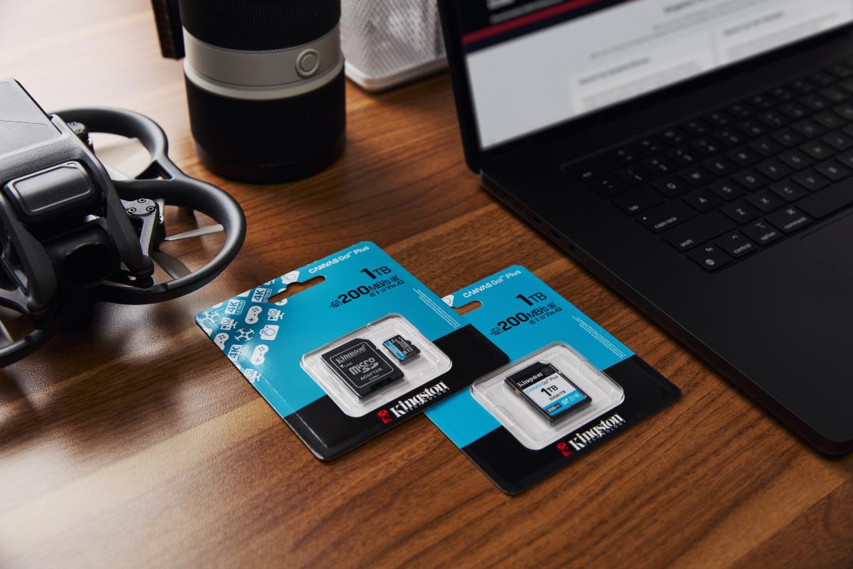 Sdxc Card - Canvas Go Plus  - 1TB - Cl10 - Uhs-l U3 V30