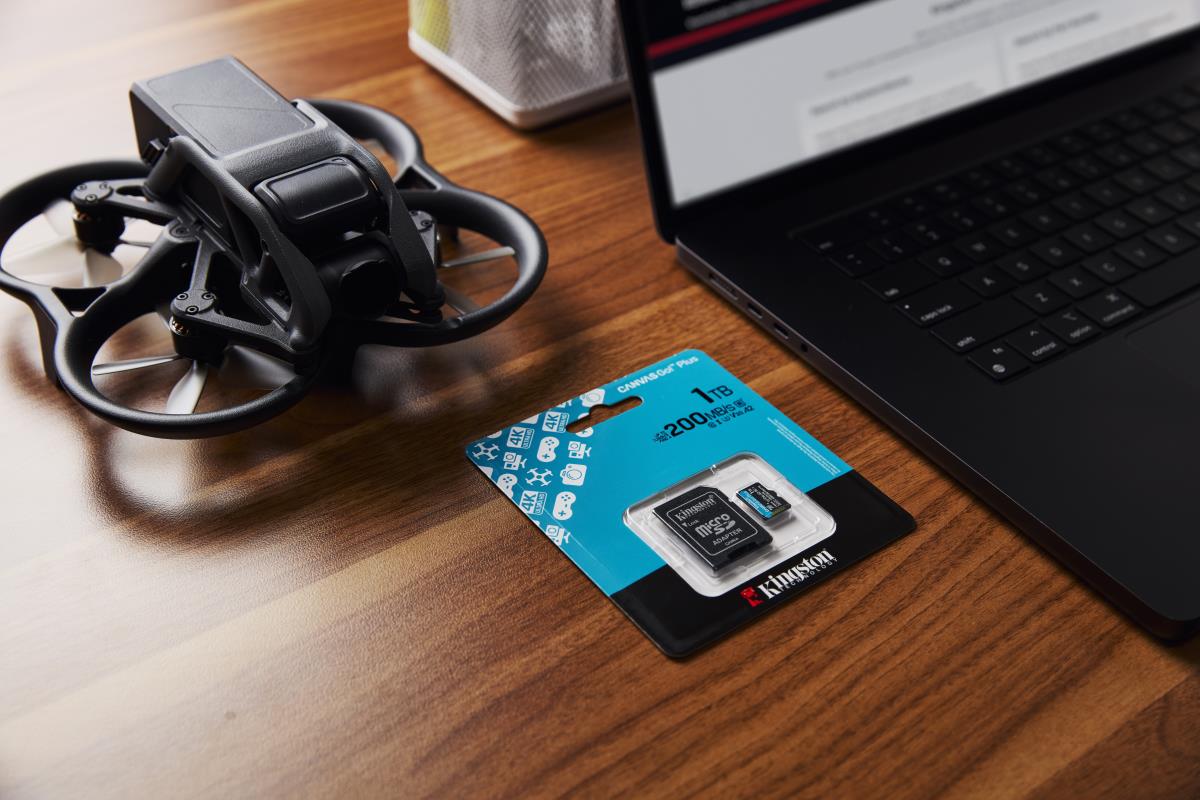 Sdxc Card - Canvas Go Plus  - 1TB - Cl10 - Uhs-l U3 V30