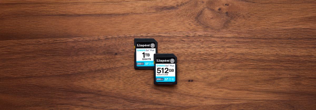 Sdxc Card - Canvas Go Plus  - 1TB - Cl10 - Uhs-l U3 V30