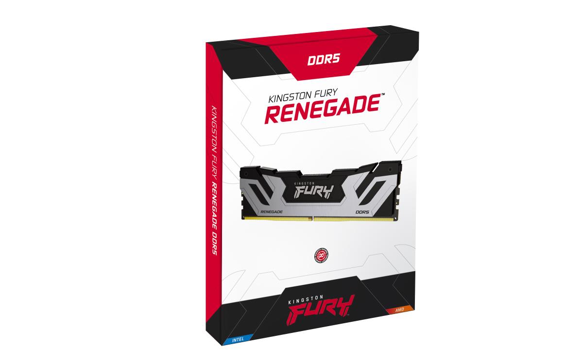 48GB Ddr5 8800mt/s Cl42 CuDIMM Kit Of 2 Fury Renegade Silver