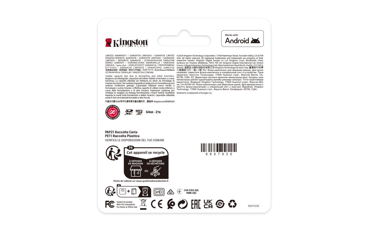 Micro Sdxc Card - Canvas Select Plus - 256GB - Uhs-i U1/u3 Video Class 10/30 A1 Single Pack Without Adapter