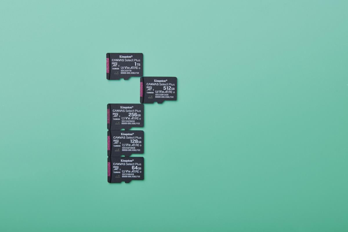 Micro Sdxc Card - Canvas Select Plus - 1TB - Uhs-i U1/u3 Video Class 10/30 A1 Single Pack Without Adapter