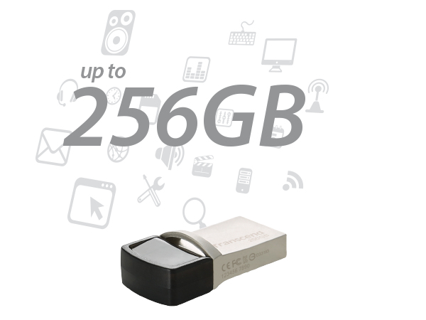 Jetflash 890 - 256GB USB Stick - USB 3.1 / Type C