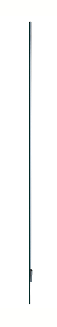 Oled Signage - 55ew5tk - 55in - 1920 X 1080 (full Hd) - Transparent
