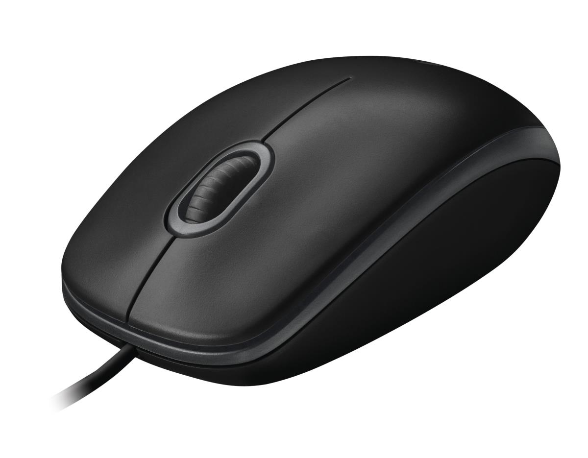 Mouse - B100 - Optical - Black
