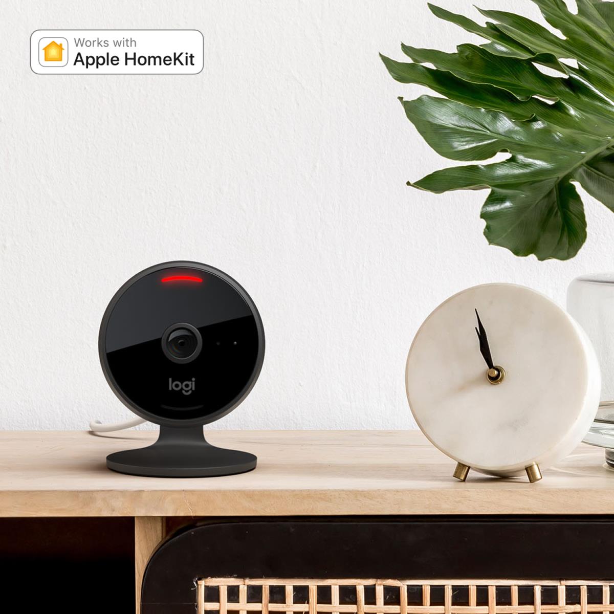 Circle View Camera Graphite