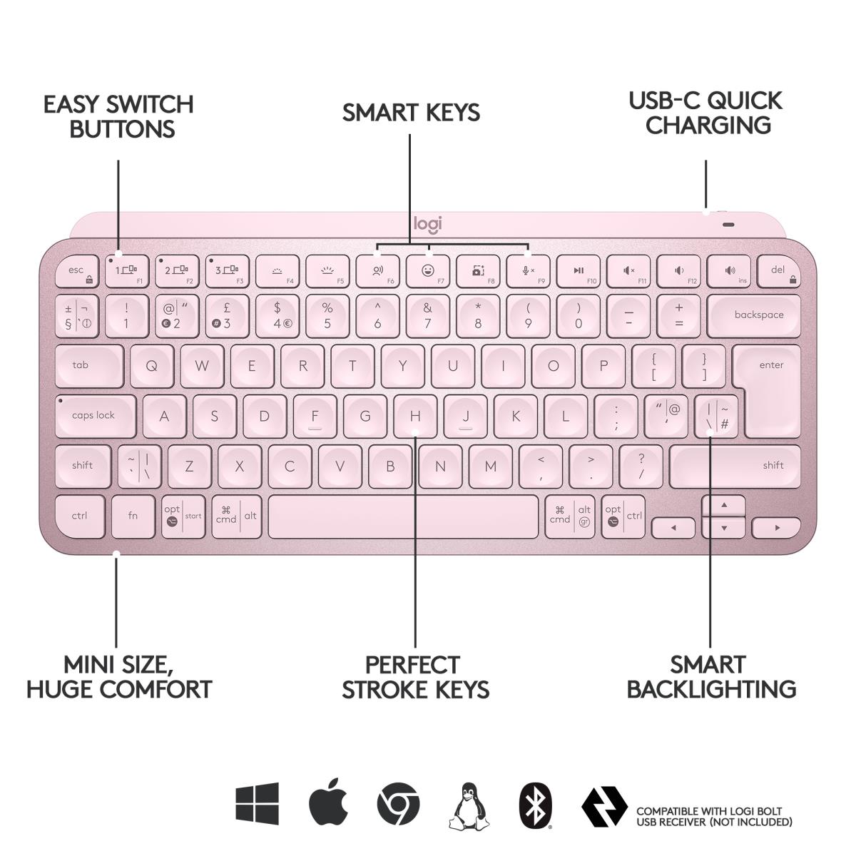 Minimalist Wireless Illuminated Keyboard - MX KEYS MINI - Rose - Qwertz Deutsch