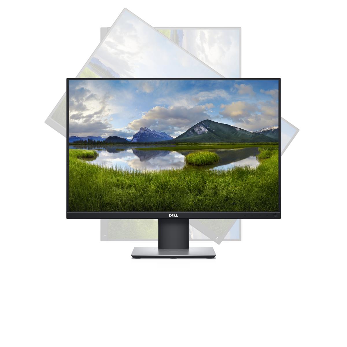 Monitor P2421 - 24in - 1920x1200( Wuxga) - IPS - Black