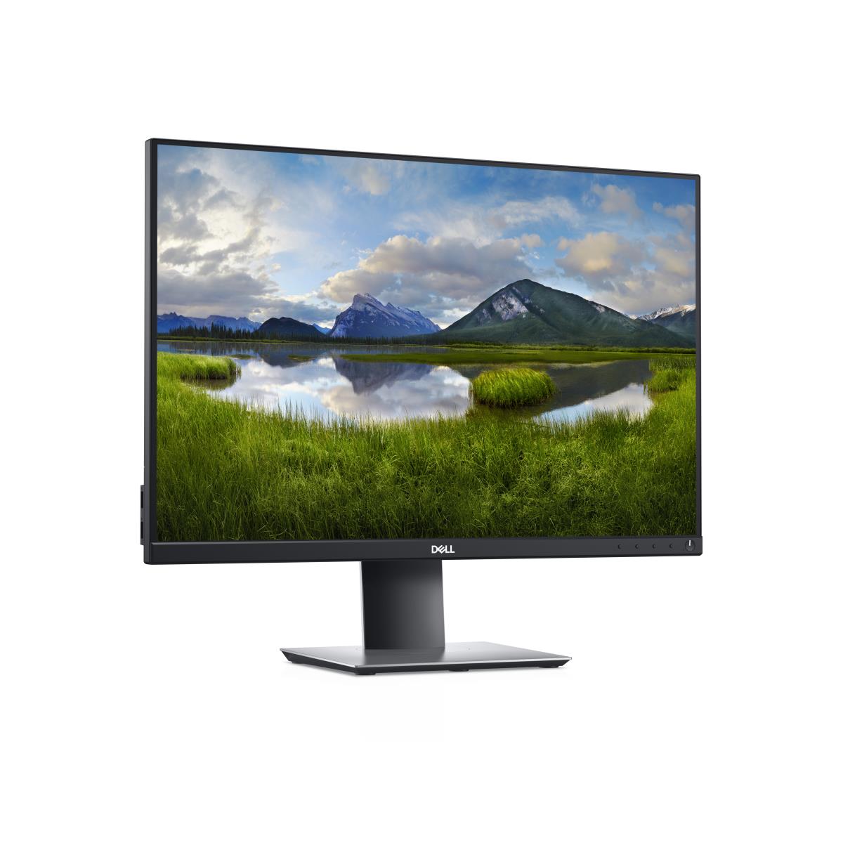 Monitor P2421 - 24in - 1920x1200( Wuxga) - IPS - Black