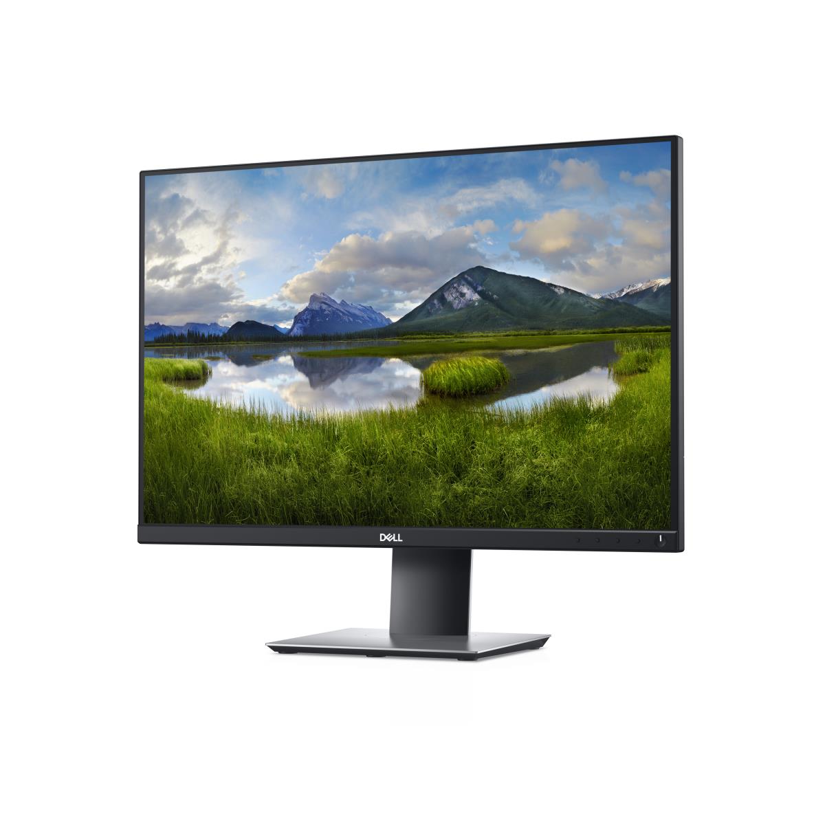 Monitor P2421 - 24in - 1920x1200( Wuxga) - IPS - Black