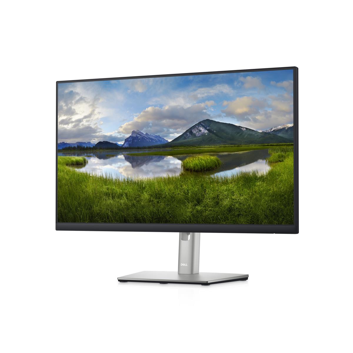 Desktop USB-c Monitor 24 - P2422he - 24in - 1920x1080