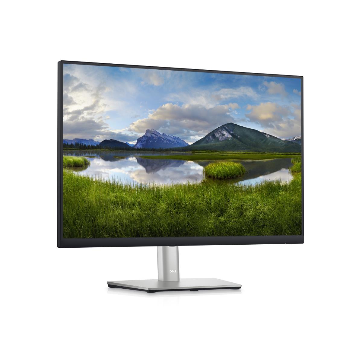 Desktop Monitor - P2423 - 24in - 1920x1200 - Wuxga @60hz