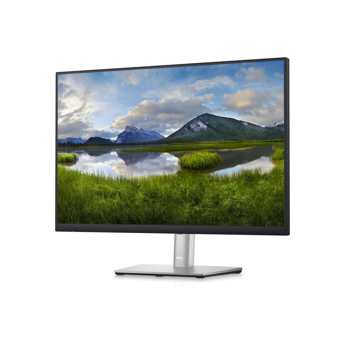 Desktop Monitor - P2423 - 24in - 1920x1200 - Wuxga @60hz