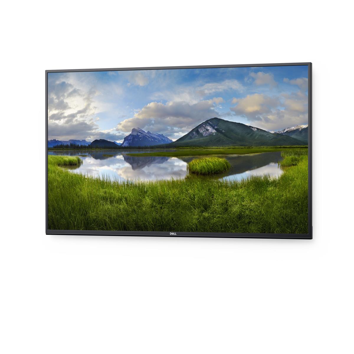 Conference Room Monitor - P5524q - 55in - 3840x2160 4k - Black