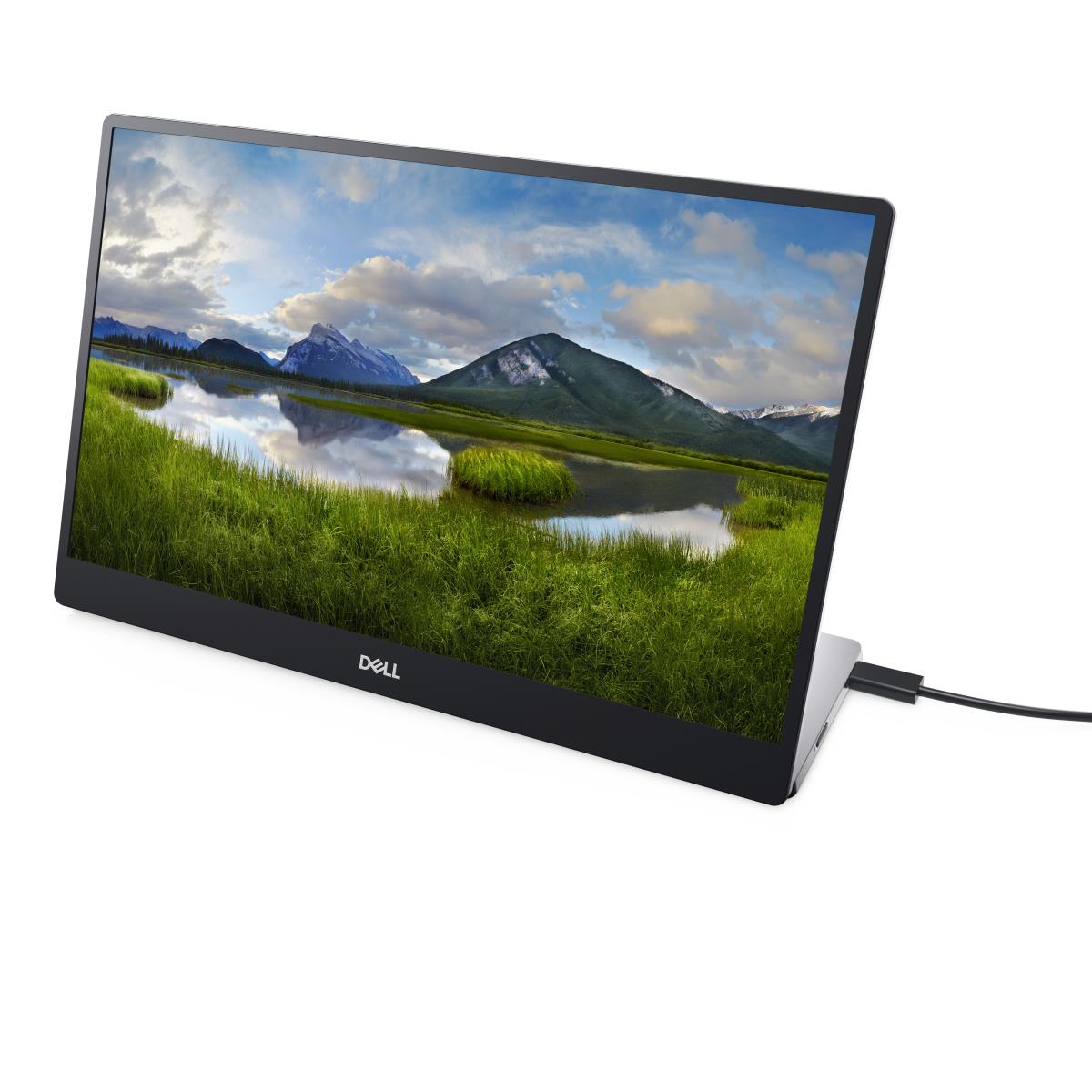Desktop Monitor - P1424h - 14in - 1920x1080
