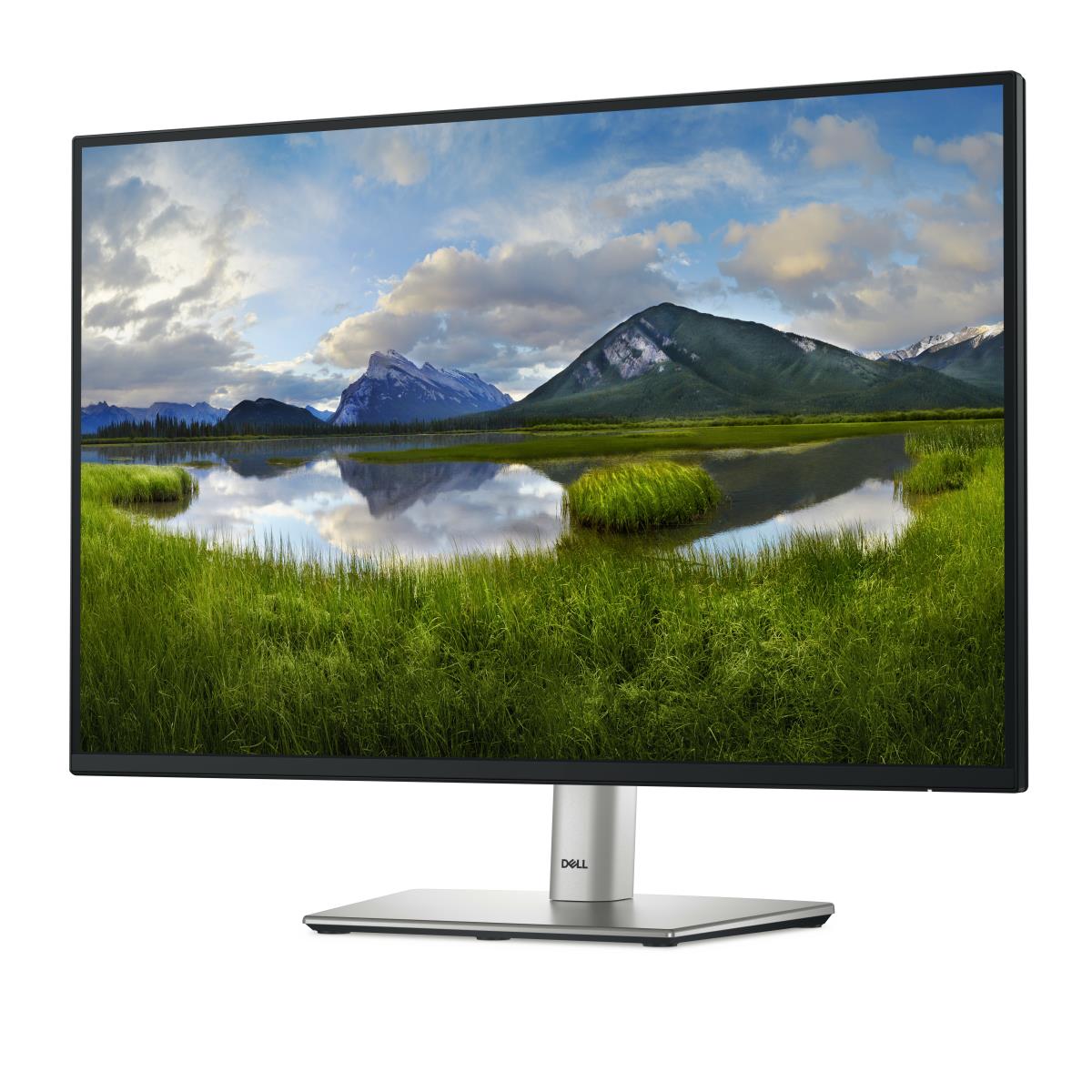 Desktop Monitor - P2425 - 24in - 1920x1200