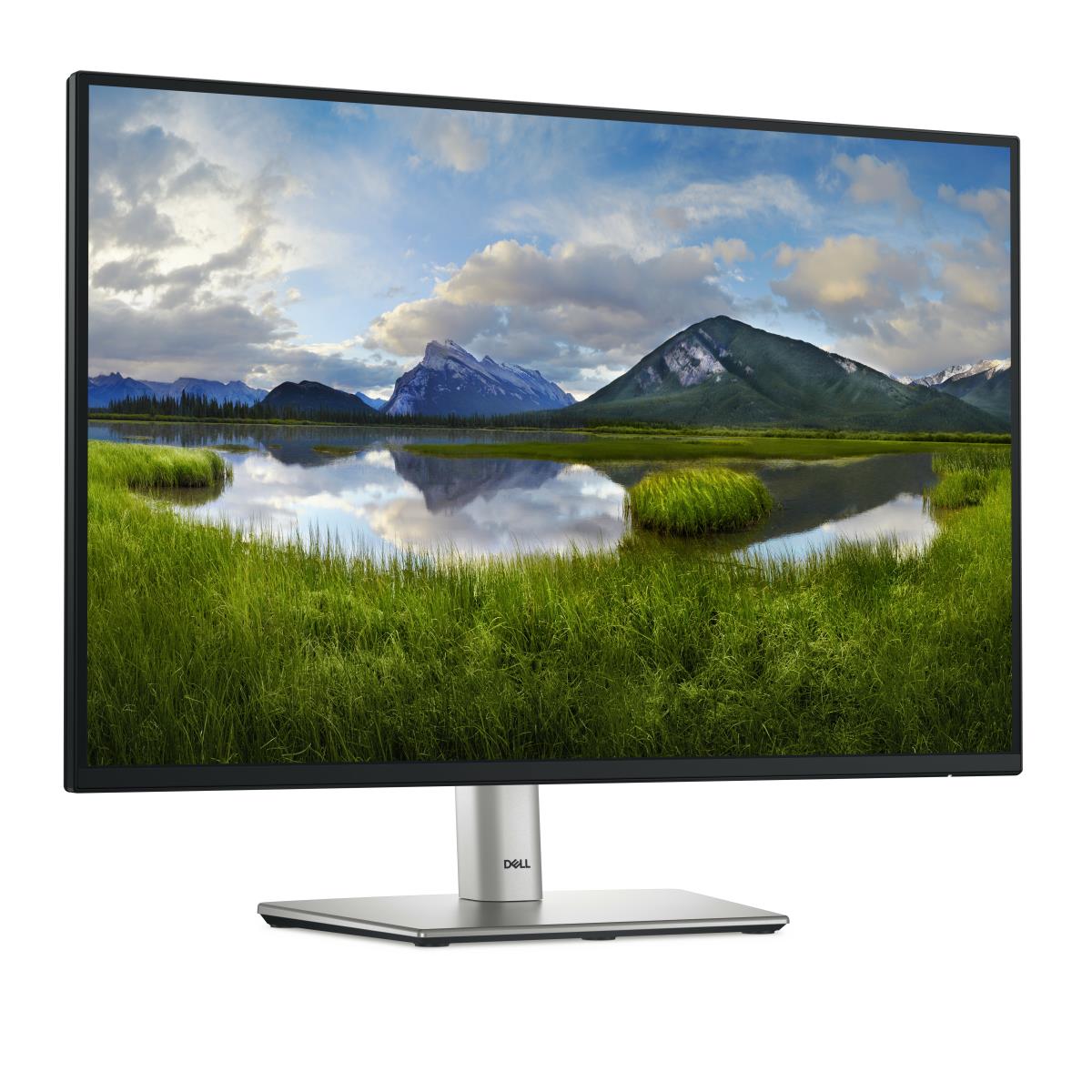 Desktop Monitor - P2425 - 24in - 1920x1200