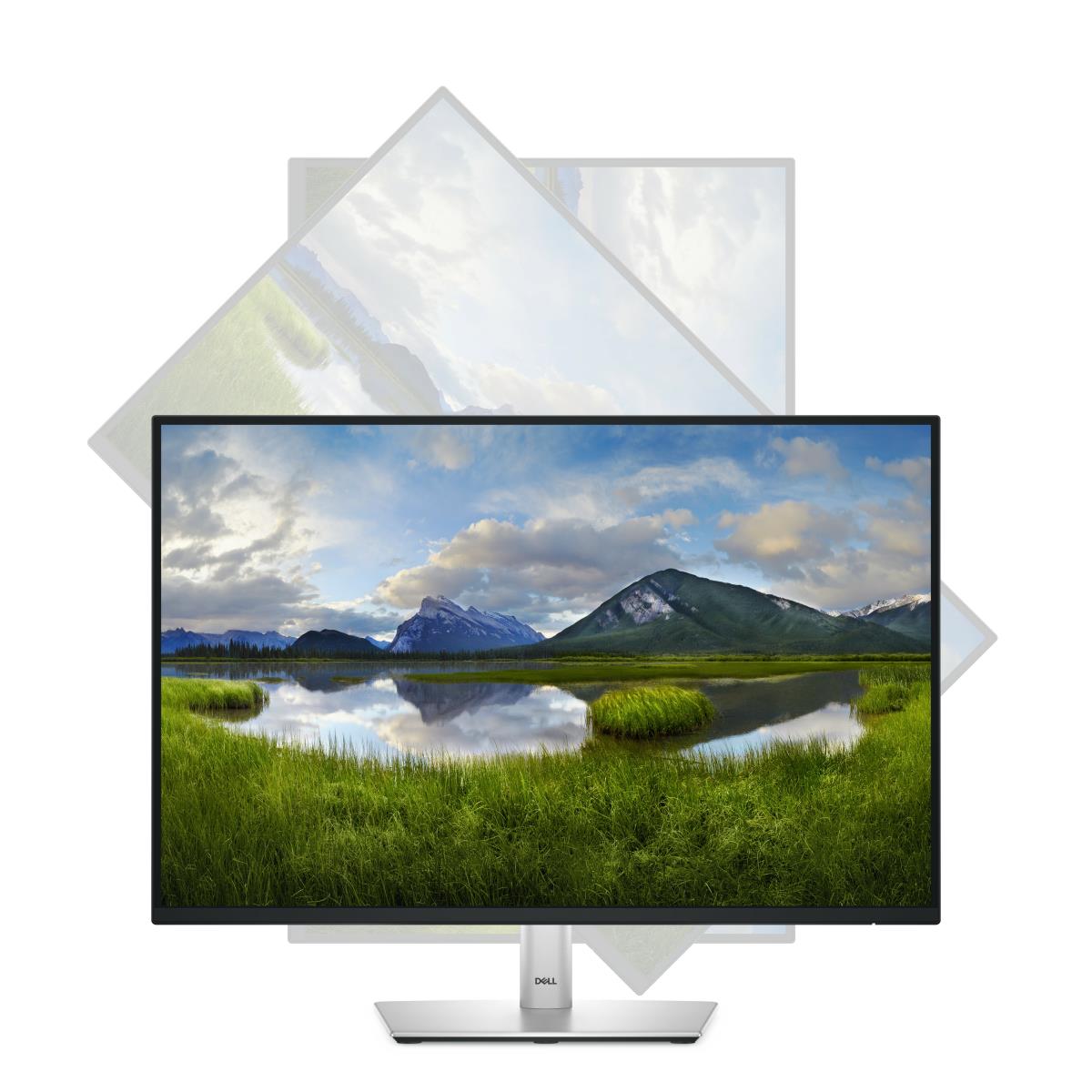 Desktop Monitor - P2425 - 24in - 1920x1200