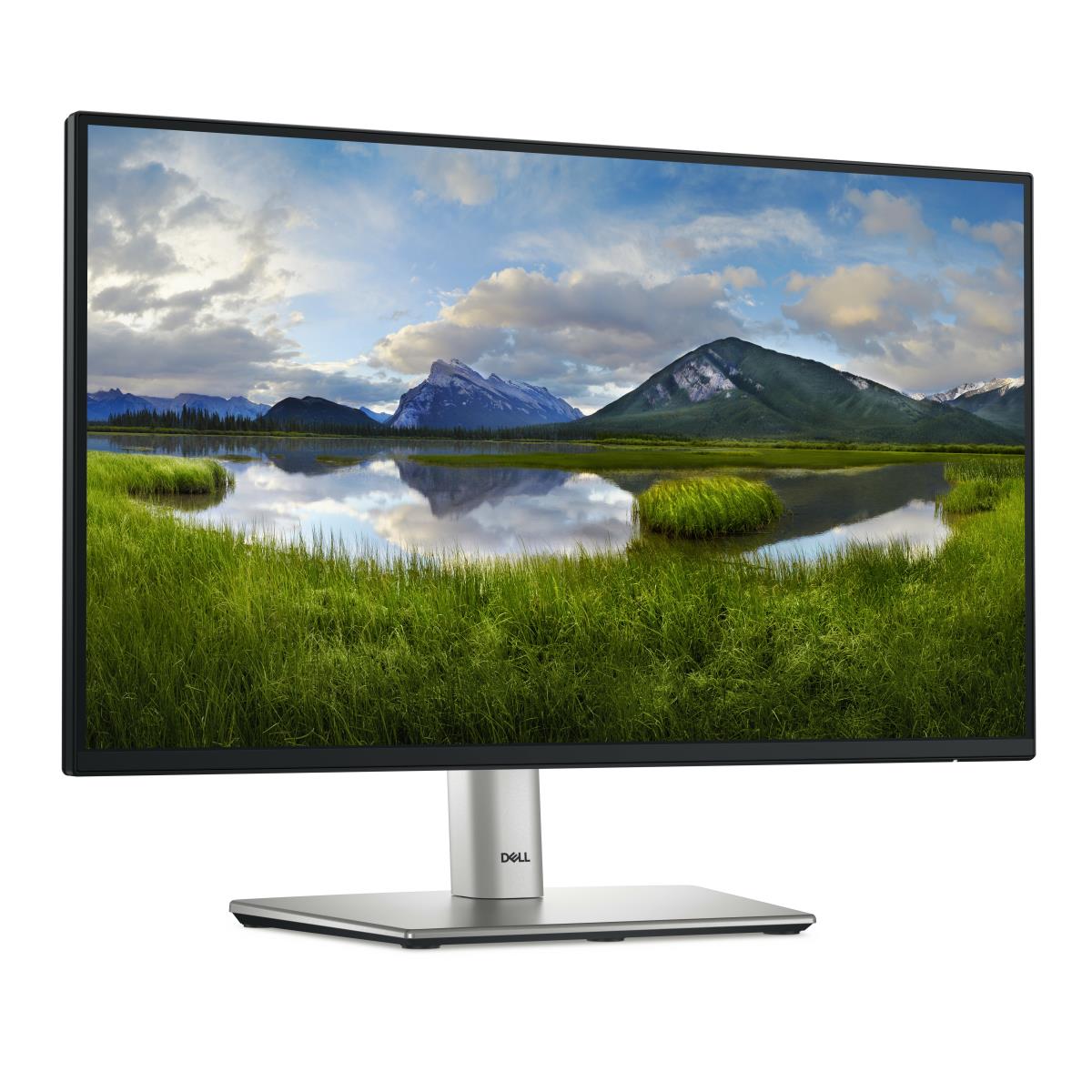 Desktop Monitor - P2225h - 22in