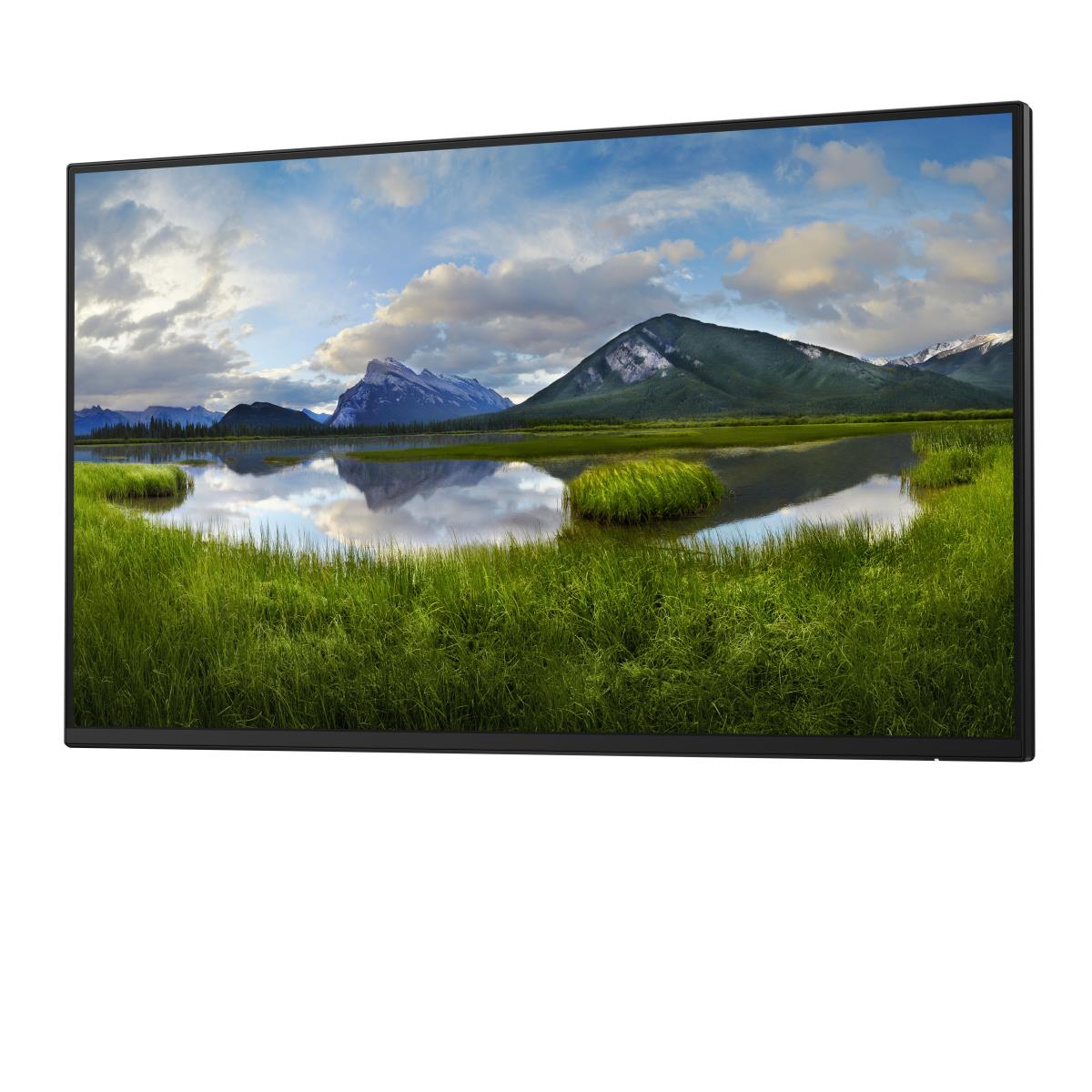 Desktop Monitor - P2425h - 24in - 1920x1080 - Without Stand