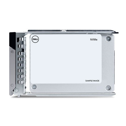 SSD Pci-e - G14-g16 960GB Nvme Ri Ag Drive U2 Gen4 With 2.5in Dxd9h Carrier