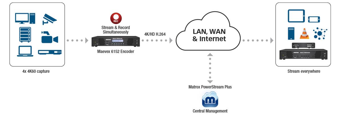 Maevex 6152 Quad 4kp60 Encoder