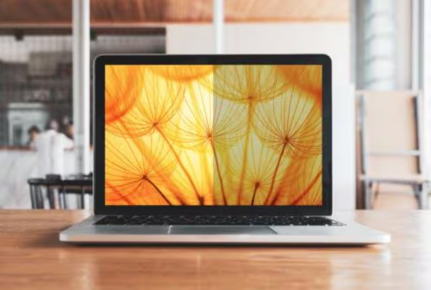 14in Anti-glare Bright Screen Privacy Filter For Laptop 16:10