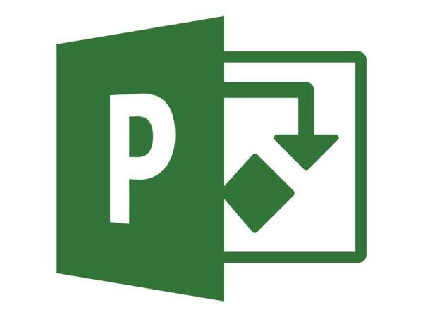 Project Standard 2019 - 1 User - Win - Dutch