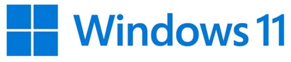 Windows 11 Home N 64bit - 1 Lic - Win - All Languages