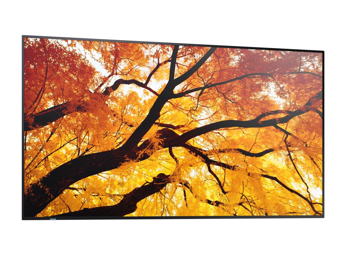Large Format Display - Multisync M432 - 32in - 3840x2160 (uhd)