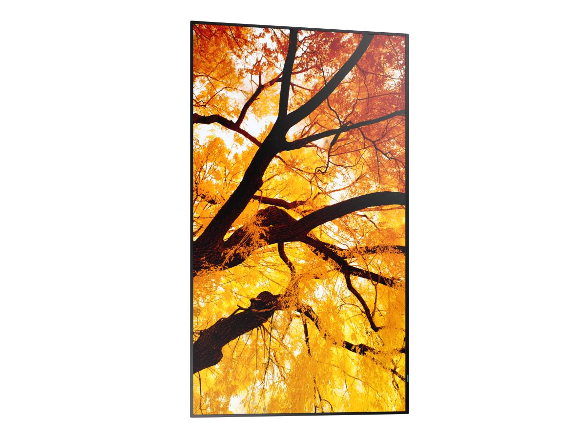 Large Format Display - Multisync M432 - 32in - 3840x2160 (uhd)