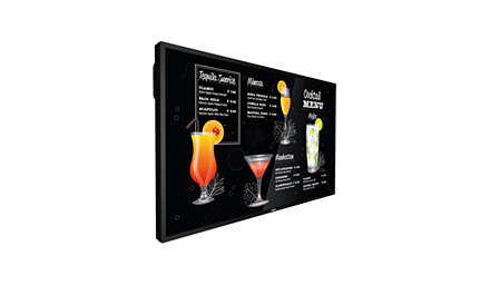 Large Format Monitor - 50bdl3117p - 50in - P-line-display