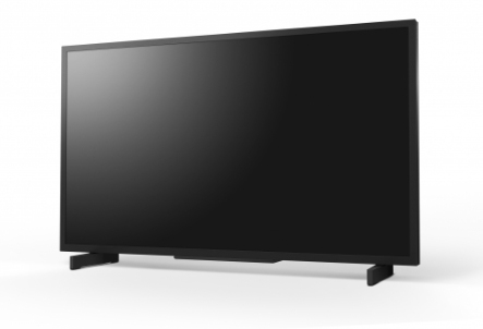 Smart Tv 32in Bravia Fw-32bz30j/1 LCD Professional Display 4k Uhd Hdr (fw-32bz30j1)