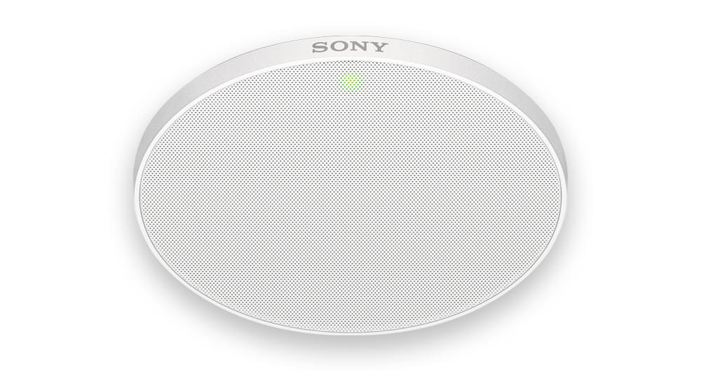 Camera/beamforming Microphone For Speech