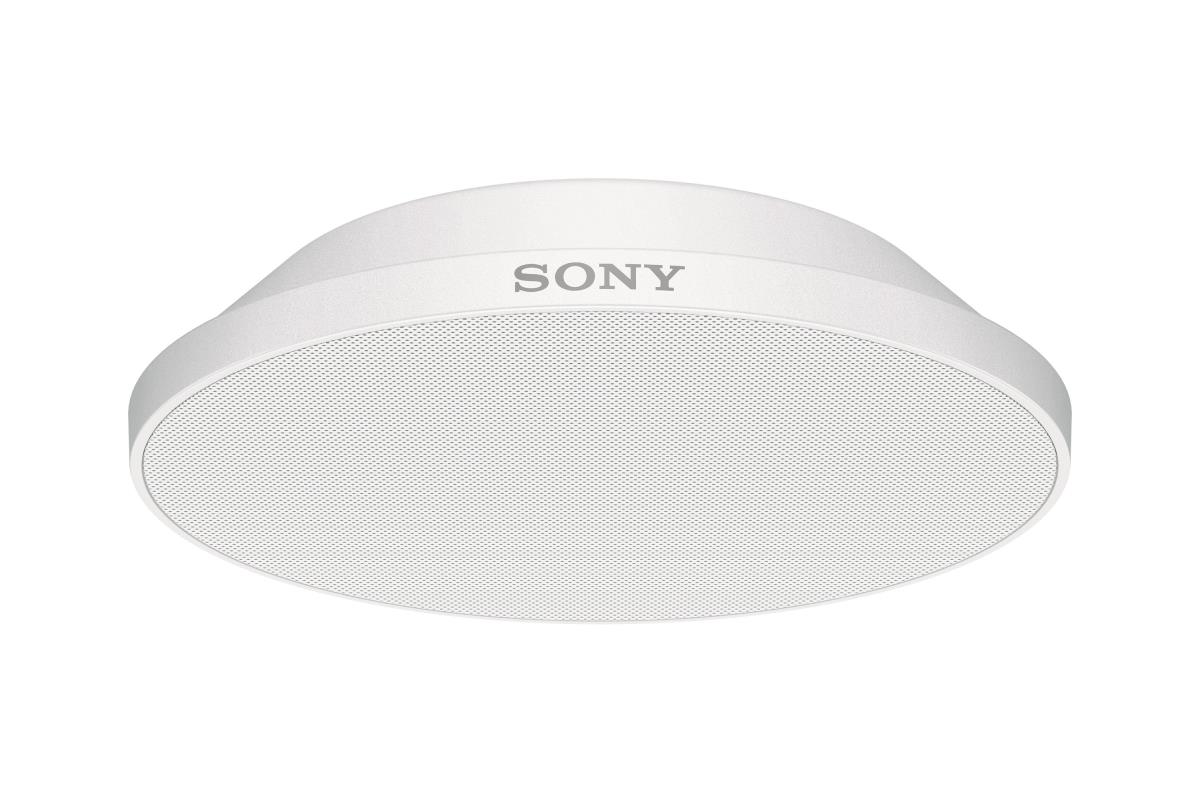 Camera/beamforming Microphone For Speech