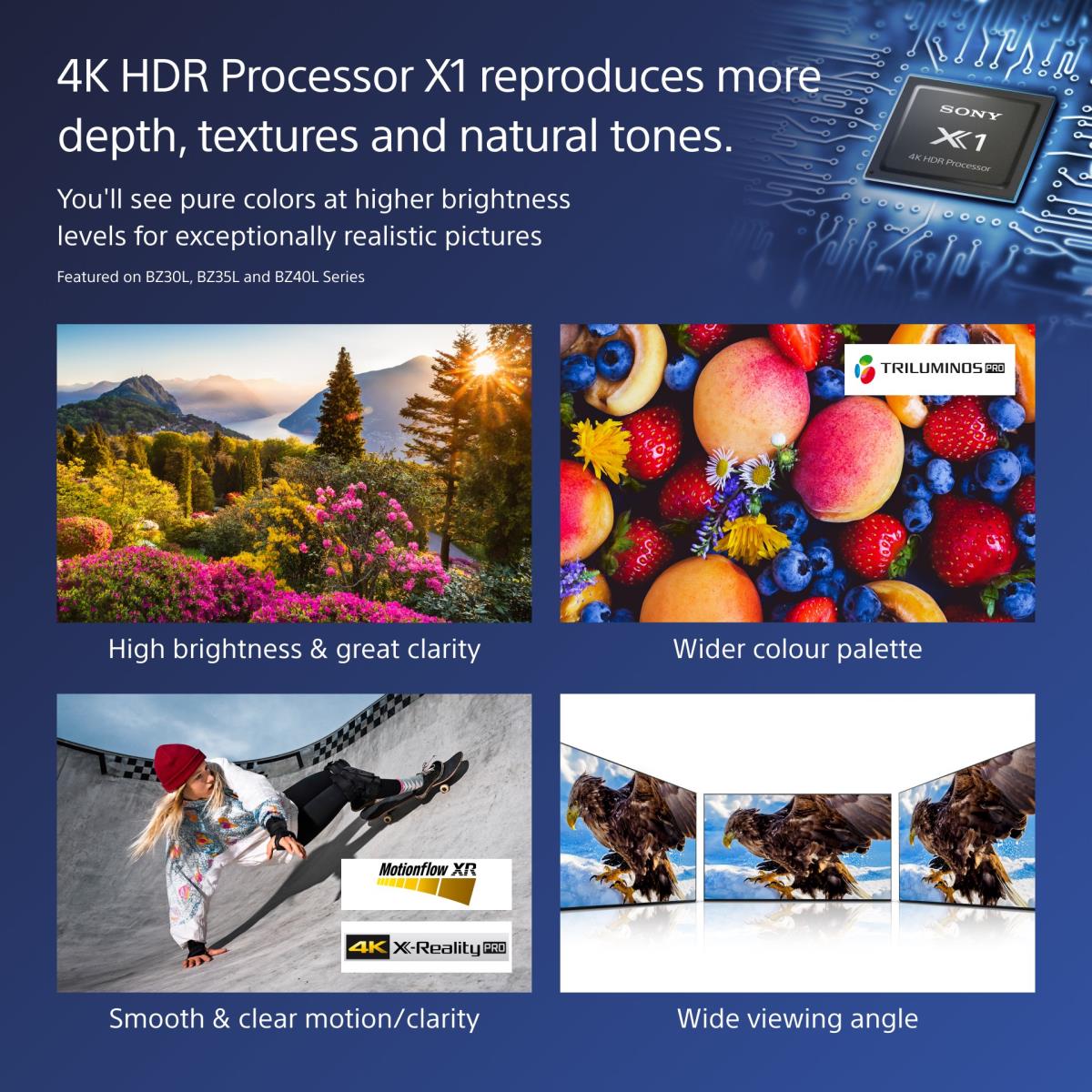 Smart Tv 55in Bravia Pro Fw-55bz40l LCD Professional Display 4k Hdr  Frame DIMMing
