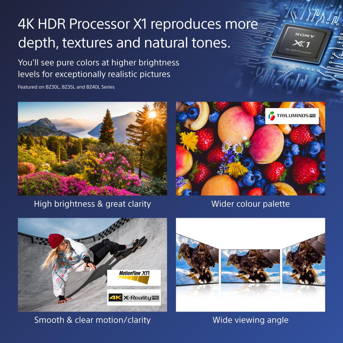 Smart Tv 65in Bravia Pro Fw-65bz40l LCD Professional Display 4k Hdr  Frame DIMMing