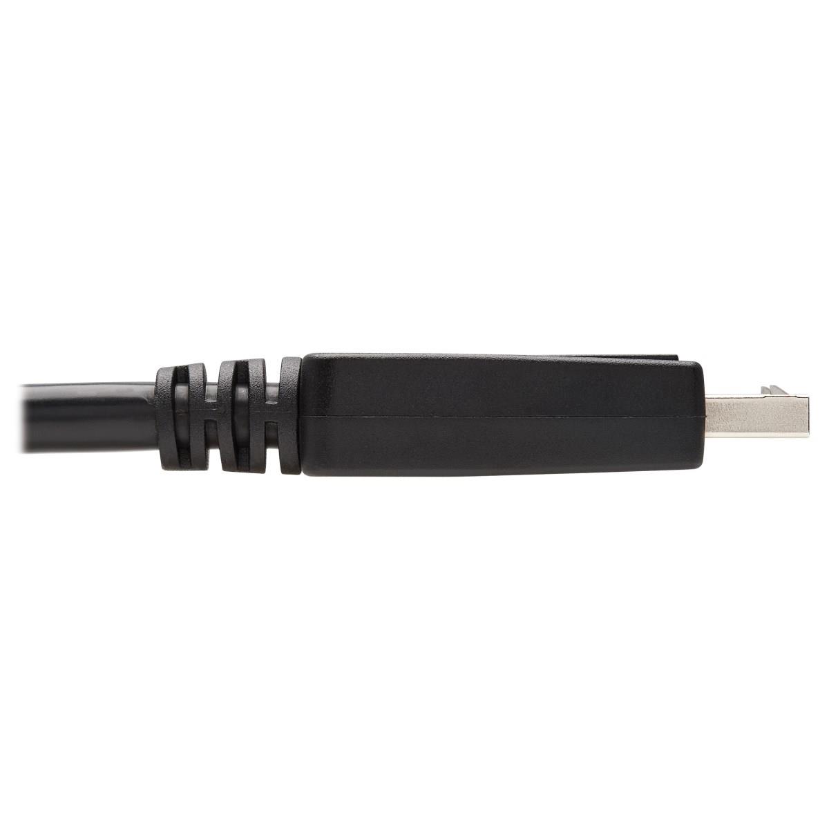 TRIPP LITE DisplayPort To DVI Single Link Cable M/m 3m