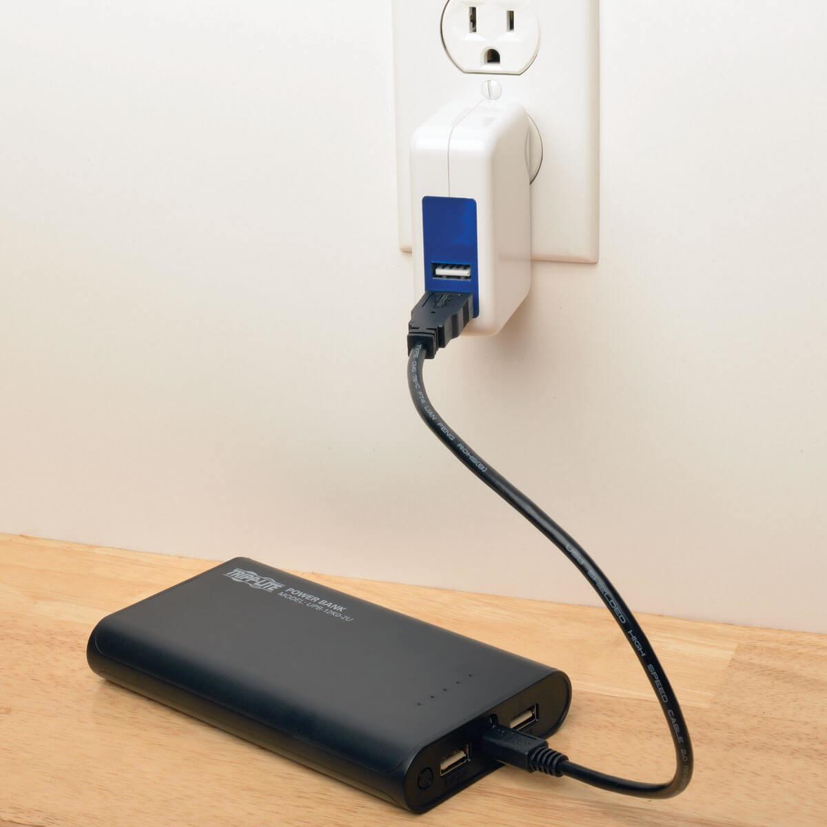TRIPP LITE Portable 12,000mAh Dual-Port Mobile Power Bank USB Battery Charger with LED Flashlight