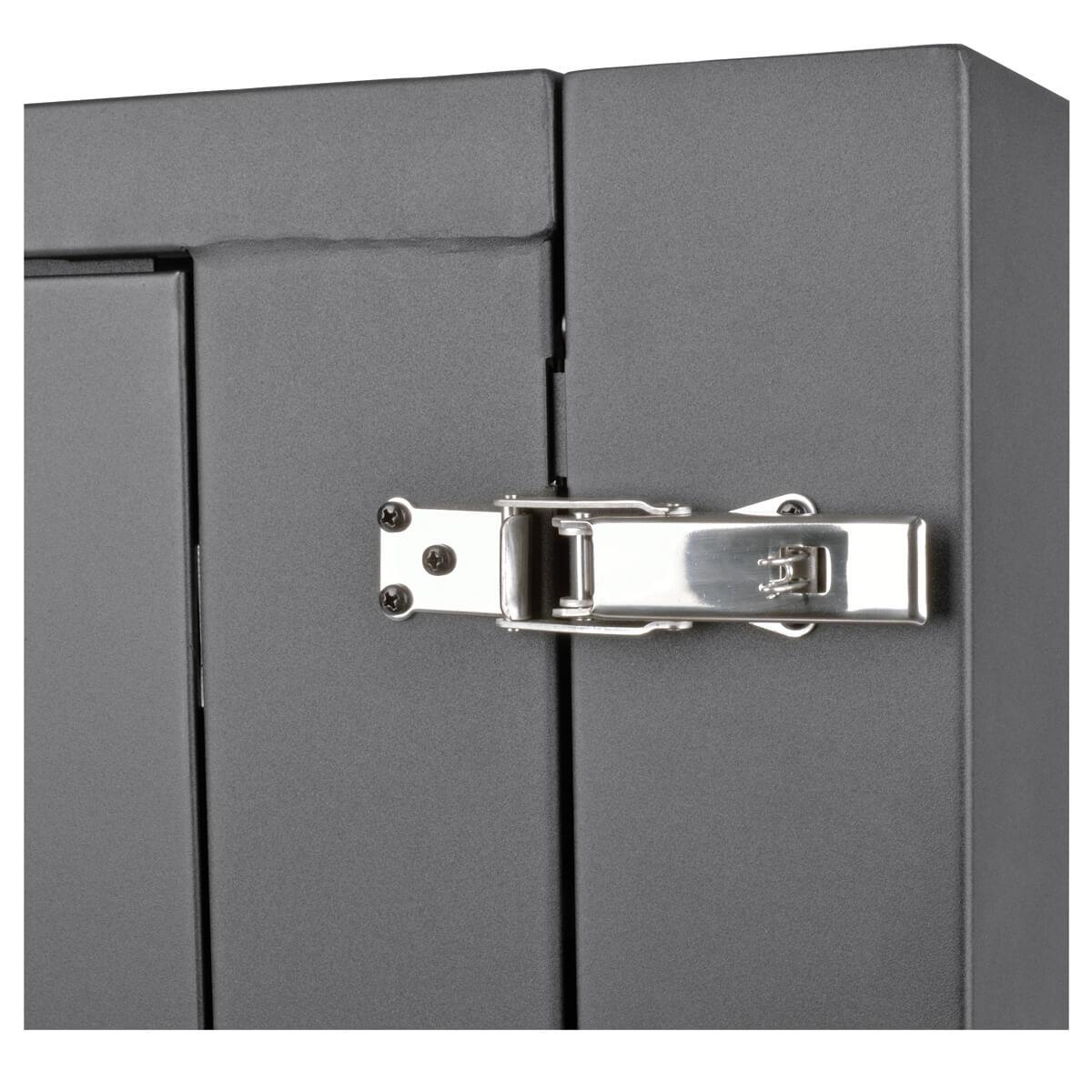 TRIPP LITE SmartRack 12U Server-Depth Wall-Mount Rack Enclosure Cabinet with Clear Acrylic Window Hinged Back