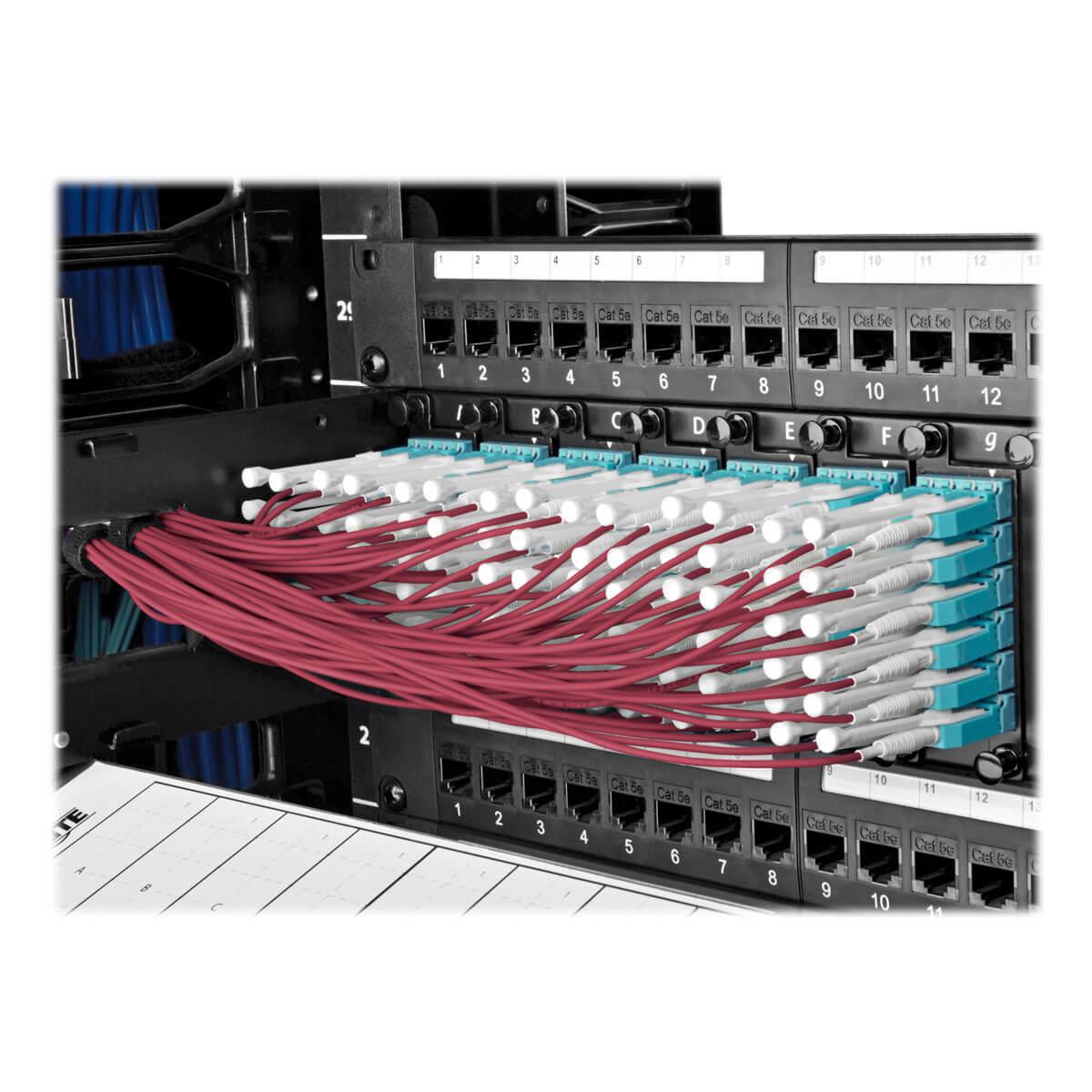 TRIPP LITE MTP/MPO to 8xLC Fan-Out Patch Cable, 40 GbE, 40GBASE-SR4 OM4 Plenum-Rated, Push/Pull Tab Magenta, 2m