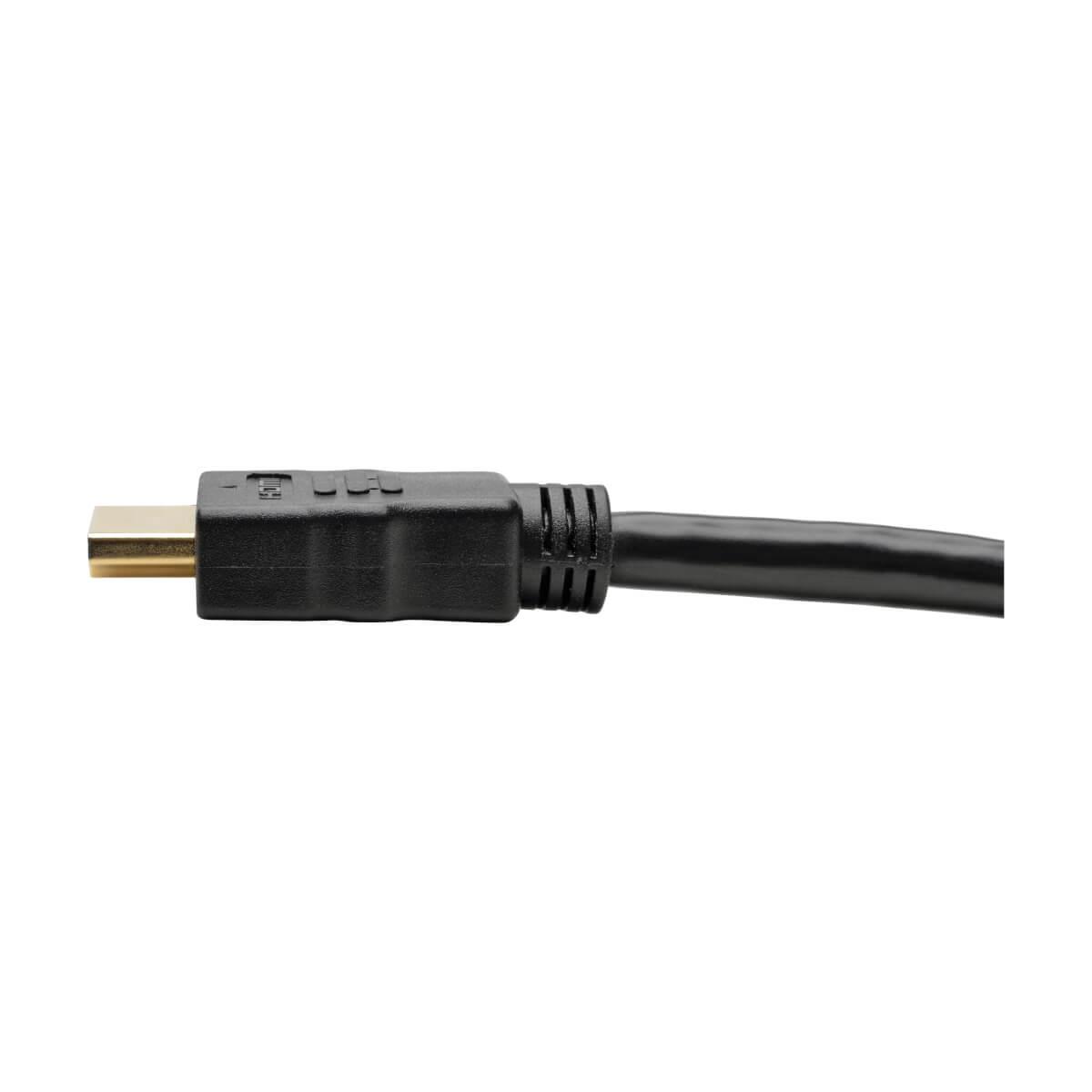 TRIPP LITE Active High-Speed HDMI Cable with Built-In Signal Booster, 1920 x 1080 (1080p) @ 60 Hz (M/M), Black, 100ft 30.5 M