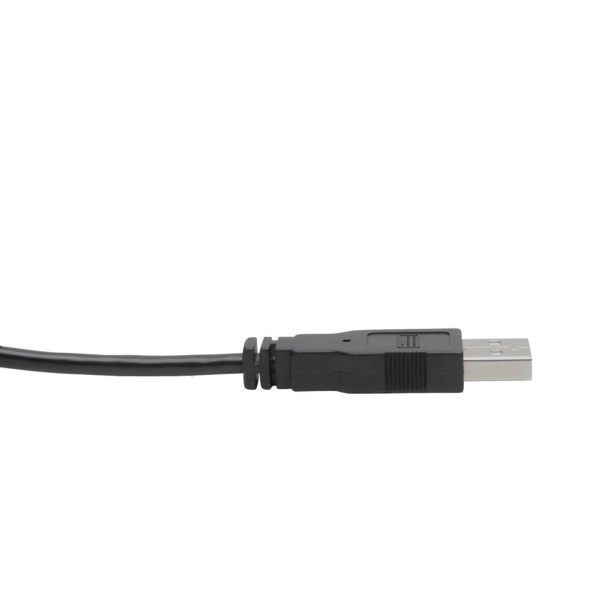 TRIPP LITE DVI to USB-A Dual KVM Cable Kit - (2x Male/2x Male), 1920 x 1200 (1080p) @ 60 Hz, 10ft 3m