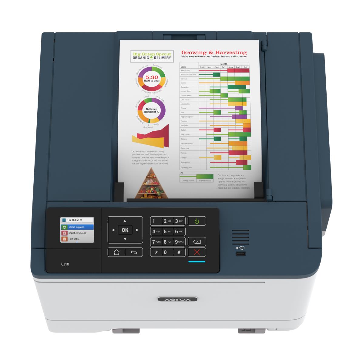 C310V_DNI - Color Printer - Laser - A4/Legal - USB / Ethernet / Wireless