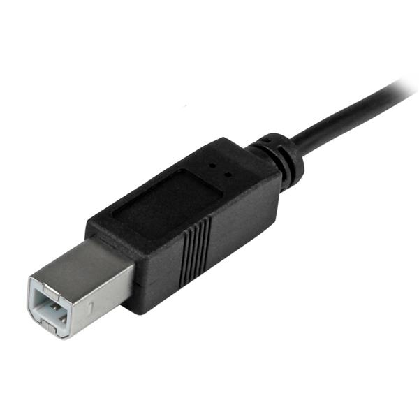 USB Typec To USB Typeb Cable M/m USB 2.0 1m