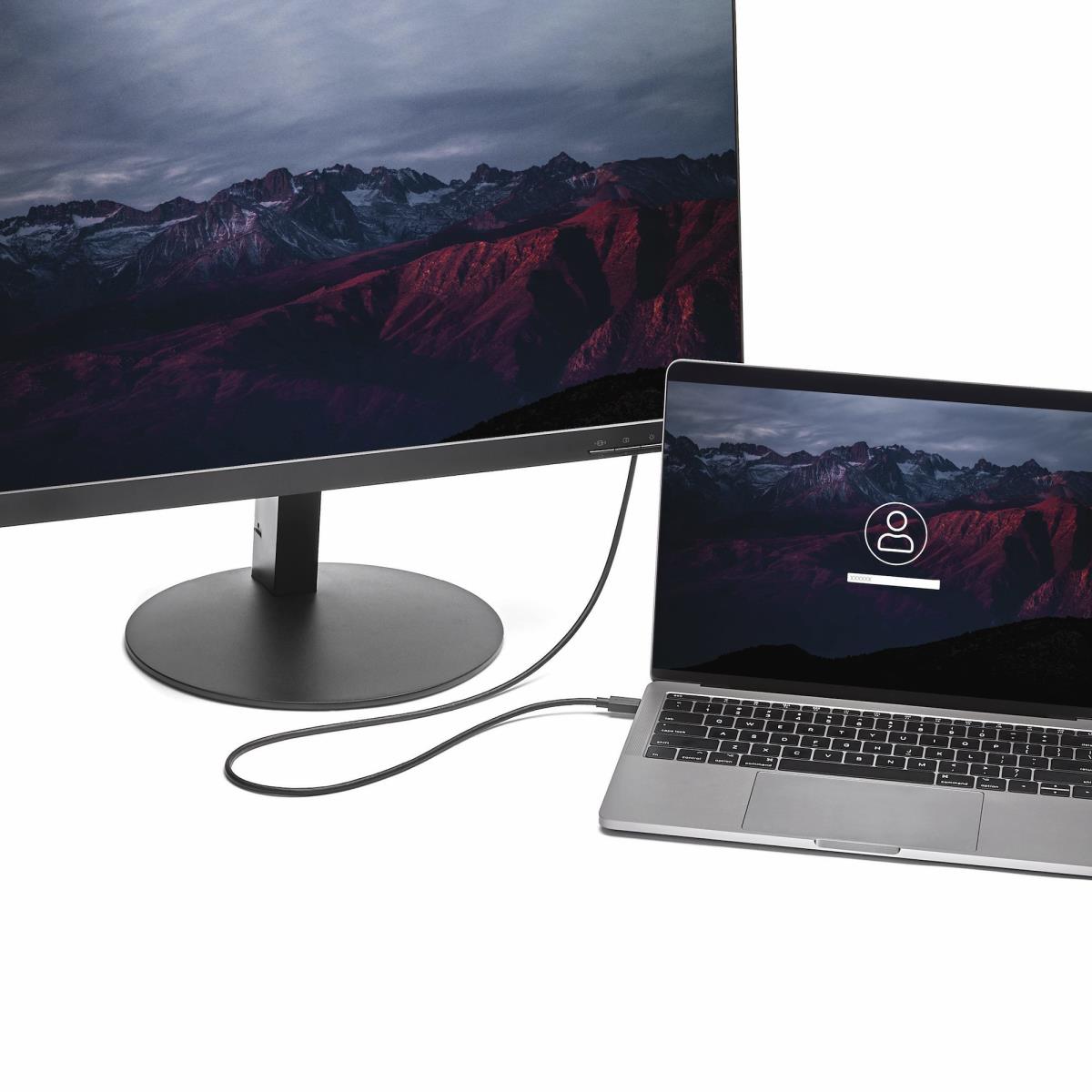 USB-c To DisplayPort Adapter Cable - 1m
