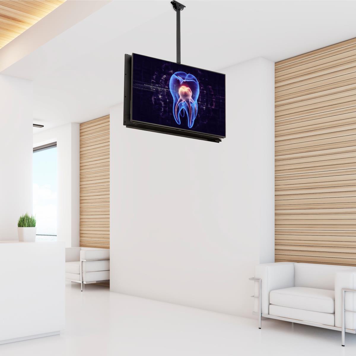 Ceiling Tv Mount Back-to-back For 32in To 75in Displays/steel